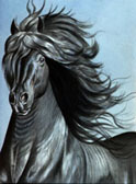 Friesian, Equine Art - Friesian Majesty